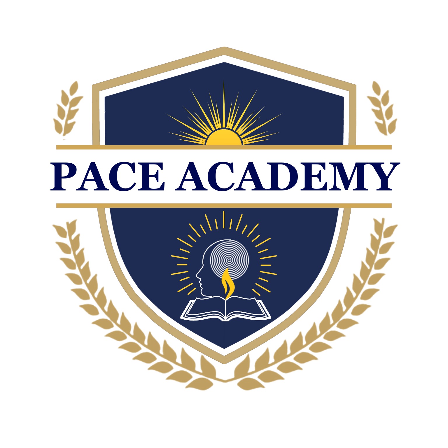 Pace Academy India